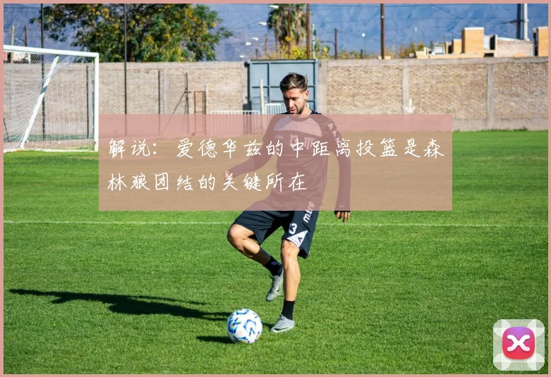 解说：爱德华兹的中距离投篮是森林狼团结的关键所在