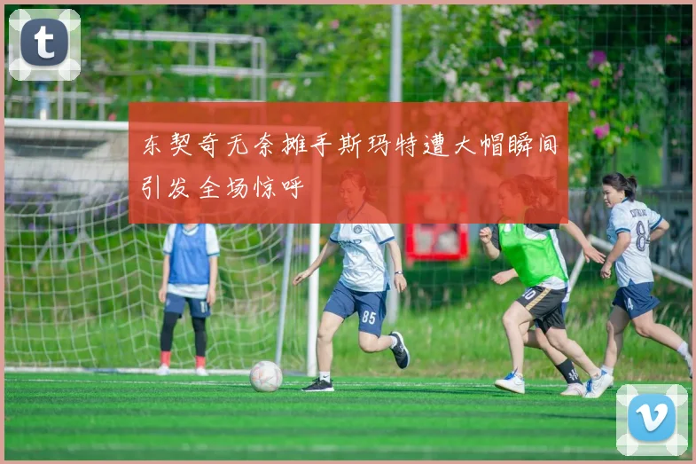 东契奇无奈摊手斯玛特遭大帽瞬间引发全场惊呼