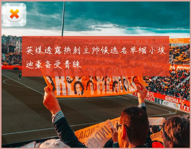 英媒透露热刺主帅候选名单缩小埃迪豪备受青睐