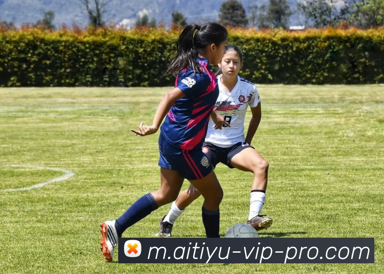 欧宝体育平台生态图